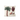 Prydnadskudde, fruiticana