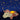Twilight Buddies Night Light med. Stjärnor - enhörning